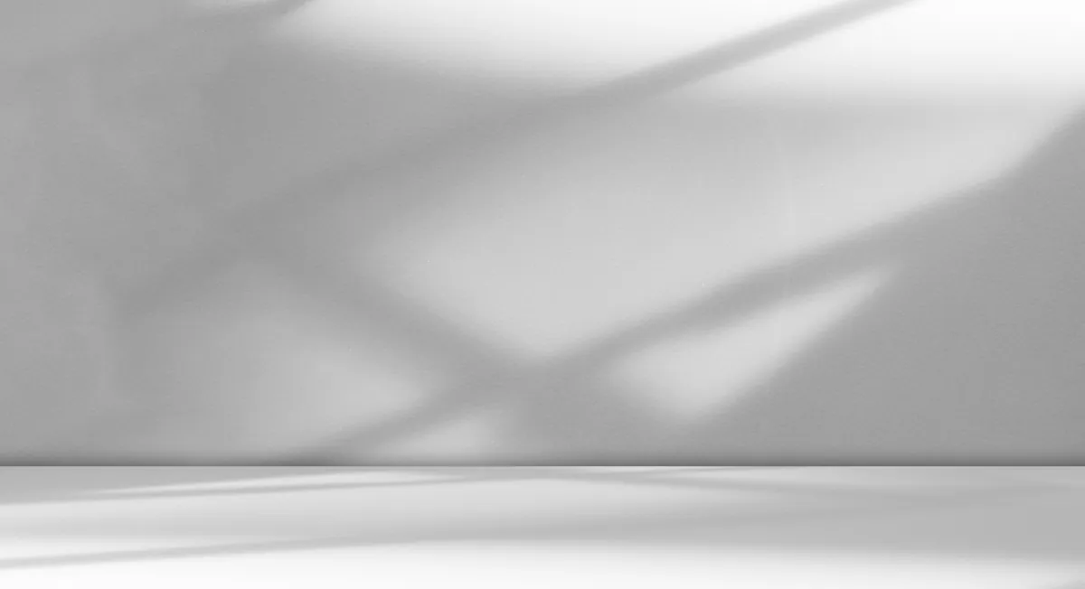 Light gray wall and floor with soft, diffused shadows, an empty setting that evokes minimalist design