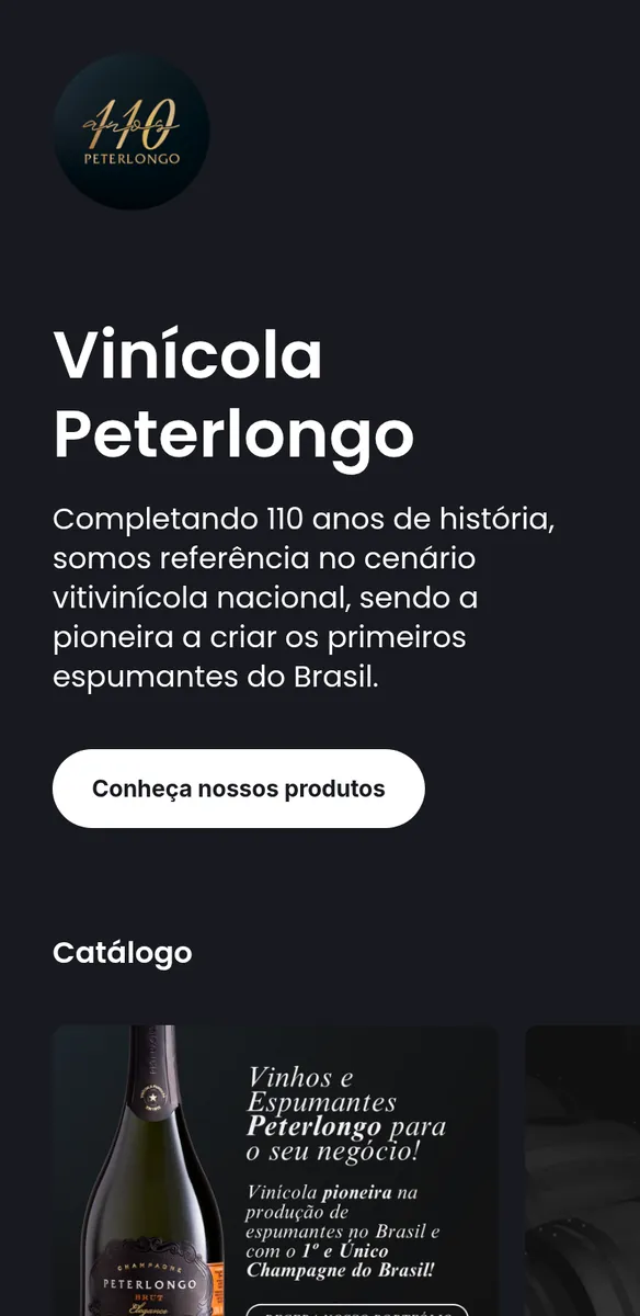 Página escura de vinícola com logo comemorativo de 110 anos, botão para conhecer produtos e catálogo com garrafa de espumante